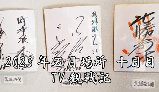 【2023年大相撲5月場所】10日目TV観戦記