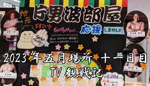 【2023年大相撲5月場所】11日目TV観戦記