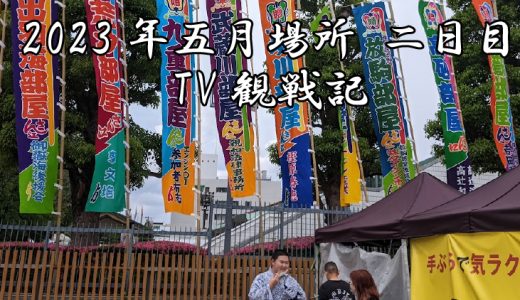 【2023年大相撲5月場所】2日目TV観戦記