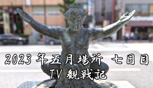 【2023年大相撲5月場所】7日目TV観戦記