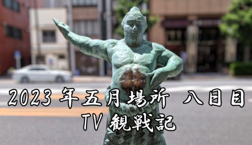 【2023年大相撲5月場所】8日目TV観戦記