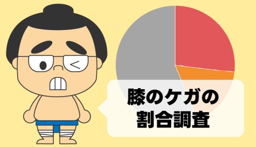 【Chart.js】幕内力士の膝のケガの割合を円グラフで表示しました。