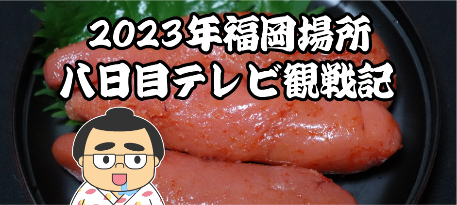 2023年福岡場所八日目テレビ観戦記