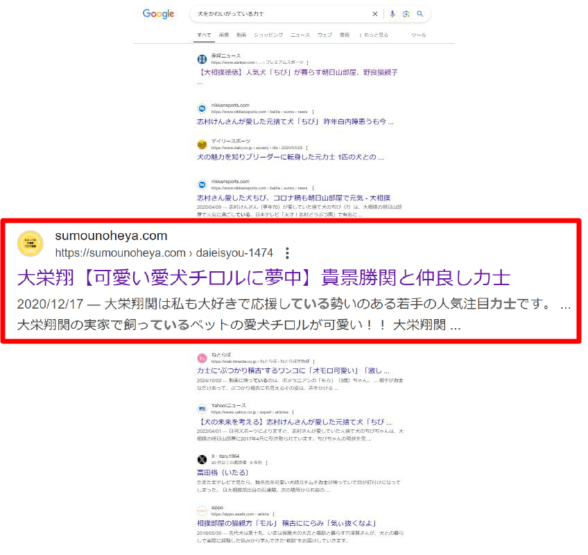 google検索結果で大栄翔発見！