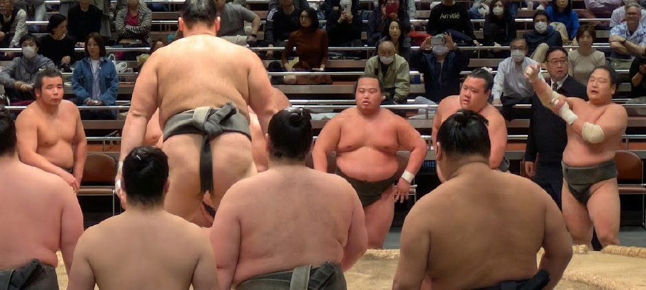 武蔵川部屋の日向龍と、浅香山部屋の魁清城