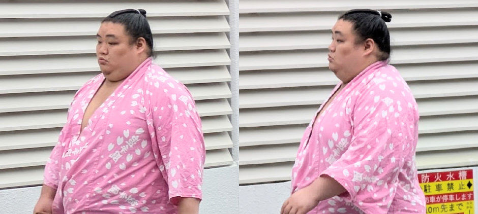 大翔鵬