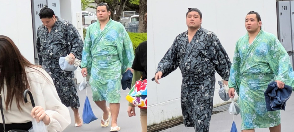 日向龍、徳之武藏