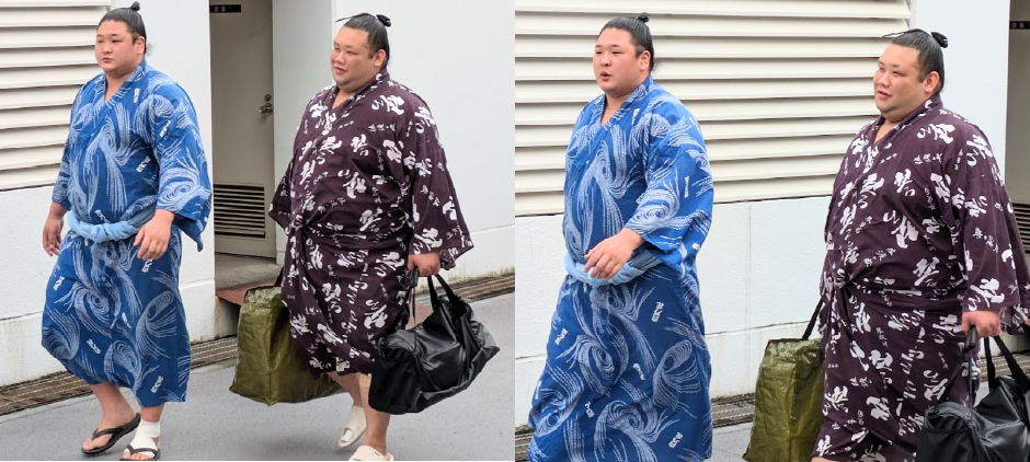 雪駄の欧勝海とサンダルの欧勝竜