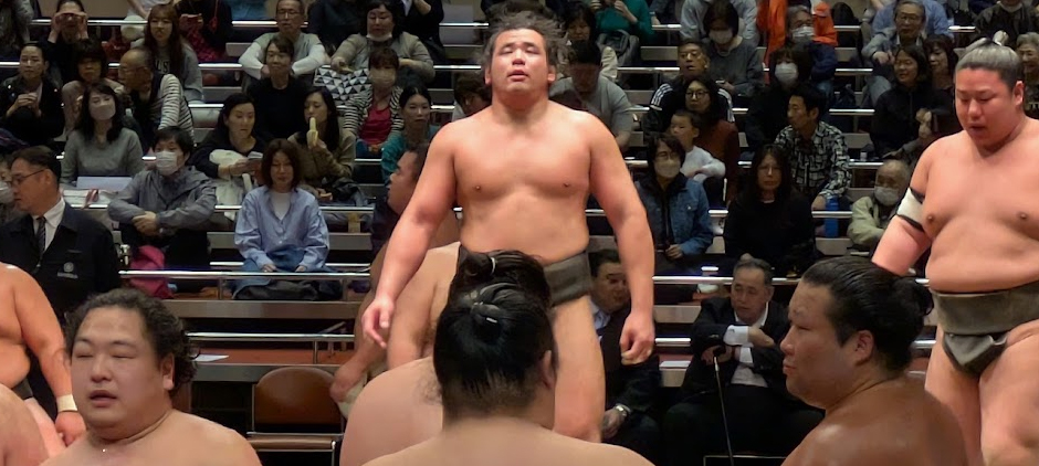 日向龍、魁清城