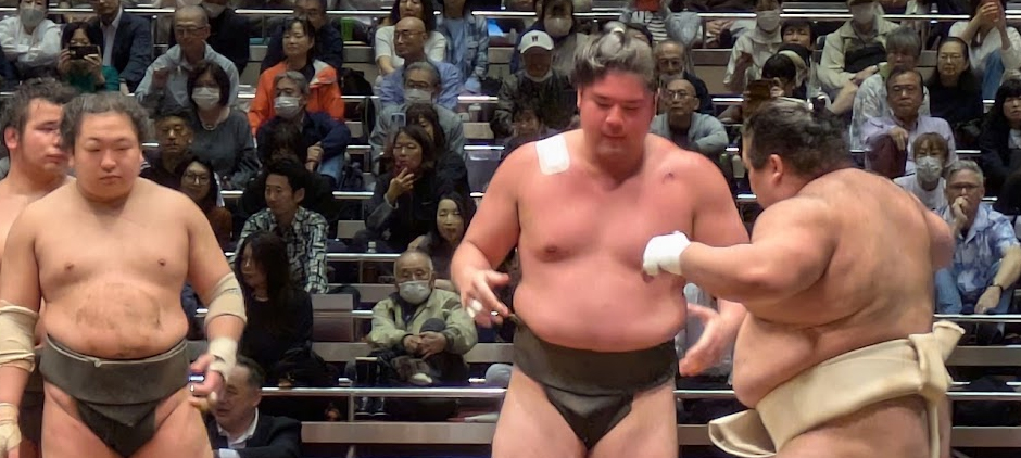 生田目の胸を借りる德之武藏。日向龍、魁清城